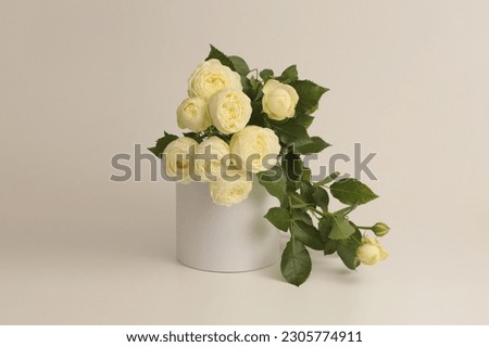 Yellow rose flower bouquet on white podium. Light beige background. 