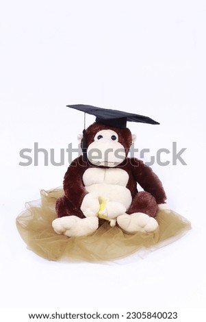 cute animal dolls in the white background