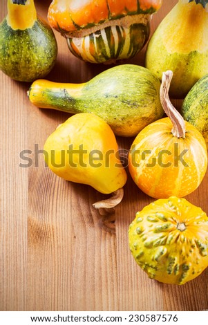 Small pumpkin for Halloween and Thanksgiving decoration