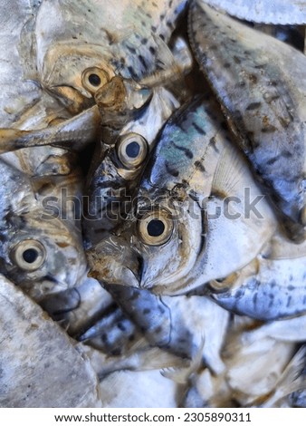 Spotted Half moon fish pile in Indian fish market for sale HD mene maculata razor fish