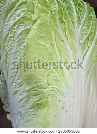Cabbage contains plant sterols, phytosterols and insoluble fiber. Cabbage can help keep your digestive system healthy and have regular bowel movements. The anthocyanins that were found add to the heal