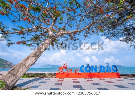view of main road which leads along the coastline mountains in Con Son town. Con Dao island is one of the famous destinations in southern Vietnam. Travel and landscape concept. Royalty-Free Stock Photo #2305956817