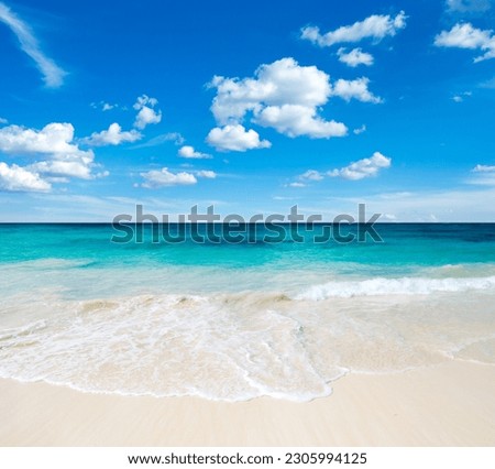beach and tropical sea .  nature background