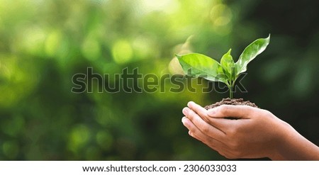 hand children holding young plant with sunlight on green nature background. concept eco earth day Royalty-Free Stock Photo #2306033033