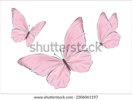 BUTTERFLY HAND DRAWN DESIGN VECTOR HAND DRAWN