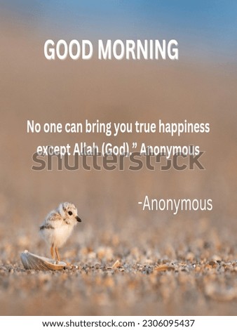 it is morning quotes, good morning quotes Anonymous, good morning images 