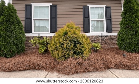 Front of house with balanced landscaping that includes Fire Chief Arborvitae, Blush Nandina, and Emerald Green Arborvitae and mulched with a thick bed of fresh pine straw.  Royalty-Free Stock Photo #2306120823