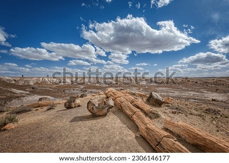 A landscape view of some of the wood found in the Petrified Forest National park in Arizona with a background of dramatic clouds. Royalty-Free Stock Photo #2306146177