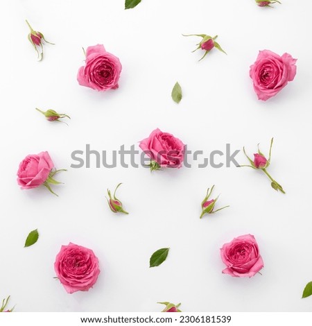 Flower and buds of pink rose on white background. Square floral pattern. Selective focus. Royalty-Free Stock Photo #2306181539