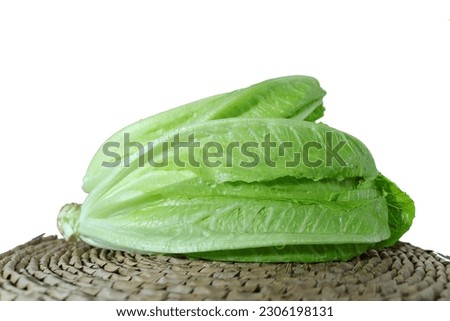 Cooking ingredients used as essential vegetables in a healthy diet, romaine and frill ice