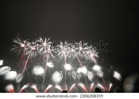 Akagawa Fireworks Presents Special Event