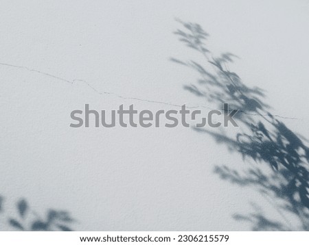 Tree shadow on the wall of the house for a minimalist style simple background