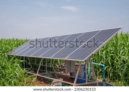 Solar panels for irrigation systems in farmer's corn fields in countryside of Thailand Royalty-Free Stock Photo #2306230153