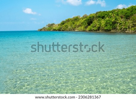 Bright seascape background on sunny day. Summer background with tropical tree, island, clear sea water and open blue sky on sunshine day, summertimes scene, holiday vacation poster concepts.