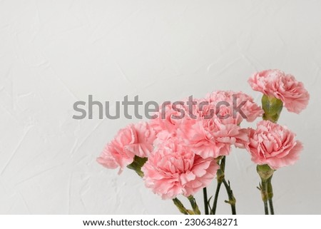 Pink carnation bouquet closeup on a white neutral background, festive floral holiday greeting card, mothers day, valentines day postcard template, copy space
