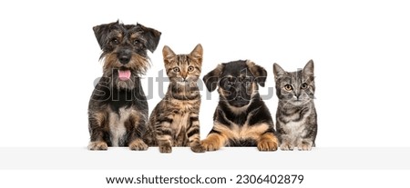 Group of dogs and cats leaning together on a empty web banner to place text. Royalty-Free Stock Photo #2306402879