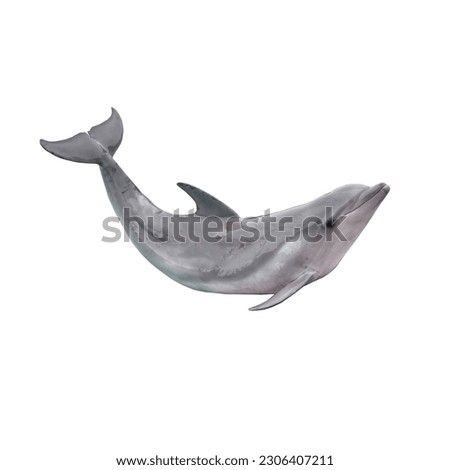Dolphin isolated on white background Royalty-Free Stock Photo #2306407211
