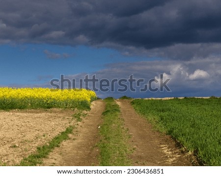 Dirt road landscape. Countryside landscape, rural panoramic landscape. Storm clouds. Spring on the country. Yellow rapeseed. Lublin province Poland.