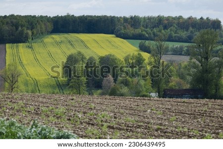 Countryside landscape, rural panoramic landscape. Spring on the country. Yellow rapeseed. Lublin province, Roztocze Poland.