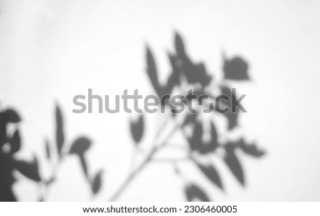 Leaves natural shadow overlay on white texture background, for overlay on product presentation, backdrop and mockup, summer seasonal concept