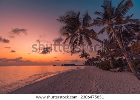 Paradise island palm trees sea sand beach. Panoramic beach travel landscape. Inspire tropical beach seascape horizon. Orange golden sunset sky calm tranquil relaxing summer vacation. Exotic holiday Royalty-Free Stock Photo #2306475851