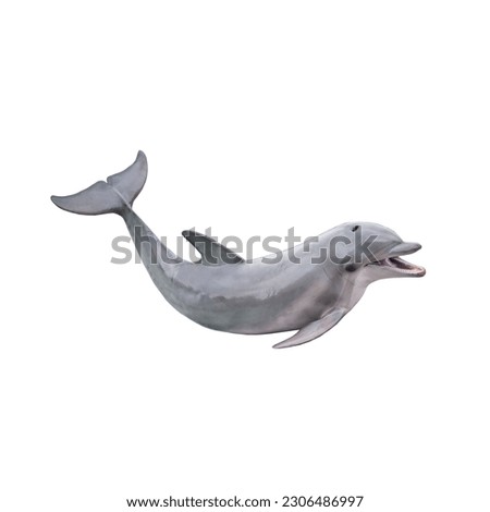 Dolphin isolated on white background Royalty-Free Stock Photo #2306486997