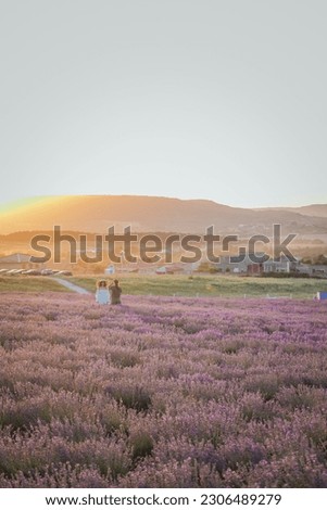 a beautiful field of lavender at sunset people take pictures