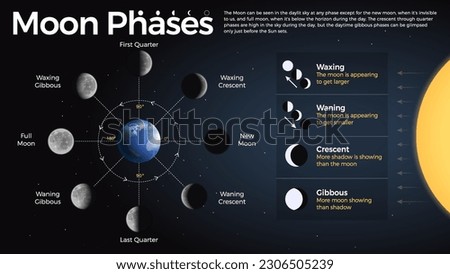 The Ultimate Guide to Understanding Moon Phases and Lunar Cycles: Waxing, Waning, Crescent, and Gibbous Moon Types Explained with Vector Infographics Royalty-Free Stock Photo #2306505239