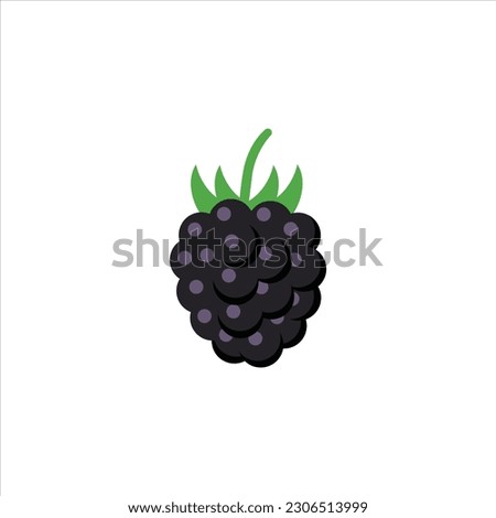 Blackberry fruit summer illustration in realistic vector design with shadow Royalty-Free Stock Photo #2306513999