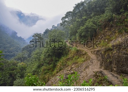 Landscape at the Jungle of Peru with Hiking Trail, Wooden Bridge, Trees, Rocks, Mist and Mountainpeaks.