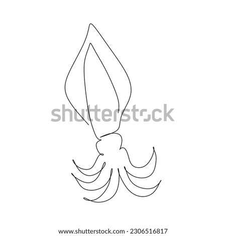 continuous line drawing of squid on white background, vector illustration