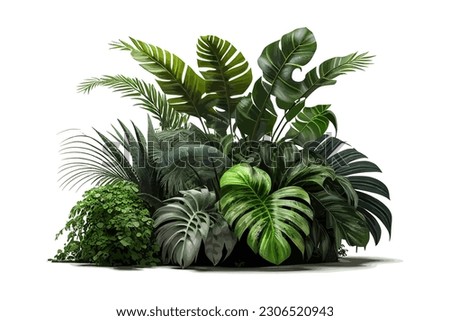 Tropical foliage plant bush Monstera palm leaves. Vector illustration desing.