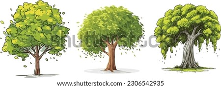 Poplar tree set in isolated white background, Poplar tree clip art collection.