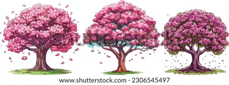 Magnolia tree set in isolated white background, Magnolia tree clip art collection.