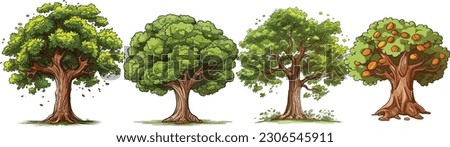  Hickory tree set in isolated white background, Hickory tree clip art collection.