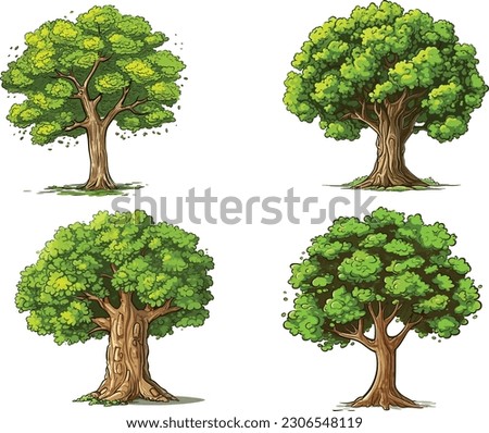 Beech tree set in isolated white background, Beech tree clip art collection.