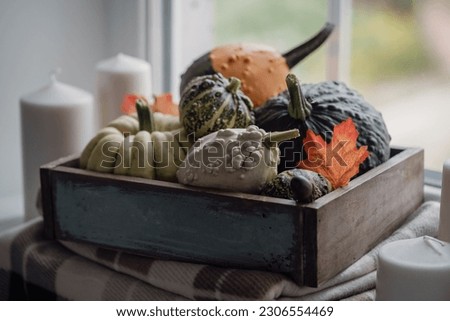 pumpkins next to the window with candles, book and warm blanket. Cozy home atmosphere in sunny autumn day. Cozy fall composition.