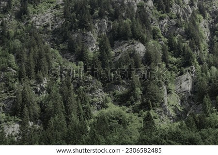 This photo taken in the mountains represents trees above the mountain.