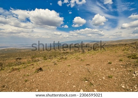 Dry and Hot Savanna terrain near Ngorongoro Conservation area, Tanzania