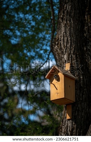Sparrow birdhouse hanging on old tree, vertical picture