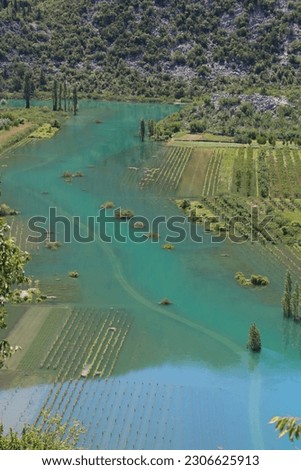 A flooded strawberry field and vineyards in the south of Croatia