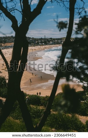 Beautiful View Of The Bondi Beach In Australia Shot Through Tree Branches