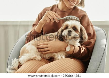 Portrait of cute long haired dog enjoying brushing and pet care while sitting in young womans lap Royalty-Free Stock Photo #2306664251
