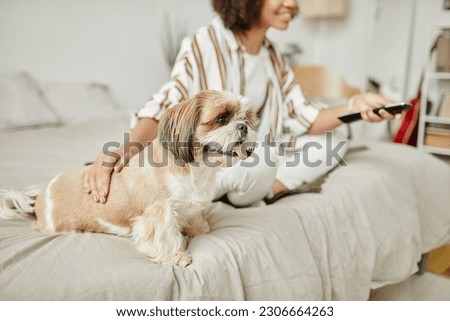 Side view portrait of cute little dog sitting on sofa with young woman and enjoying pets, copy space Royalty-Free Stock Photo #2306664263