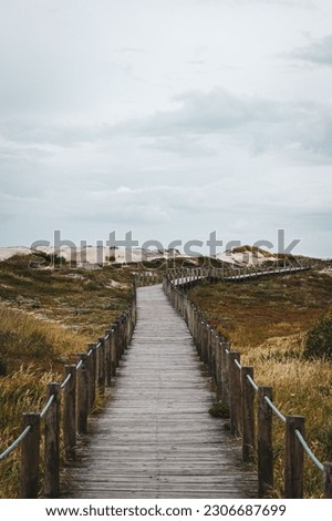 A vertical shot of a wooden pathway in a green coastal field on a cloudy day Royalty-Free Stock Photo #2306687699