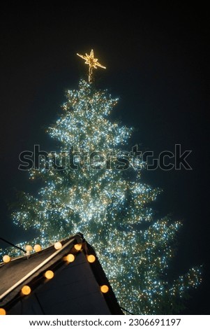 A low-angle shot of a festive Christmas tree beside the roof of a building, illuminated and adorned with ornaments and lights
