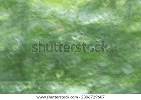 An image taken by intentionally moving the camera of the Annals of young tree leaves