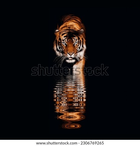 Reflaction the image of a tiger in the water