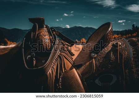 macro of western cowboy cowgirl saddle Royalty-Free Stock Photo #2306815059