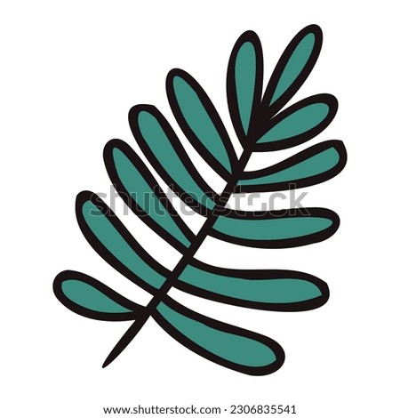 Hand Drawn palm leaves from the top view in doodle style isolated on background